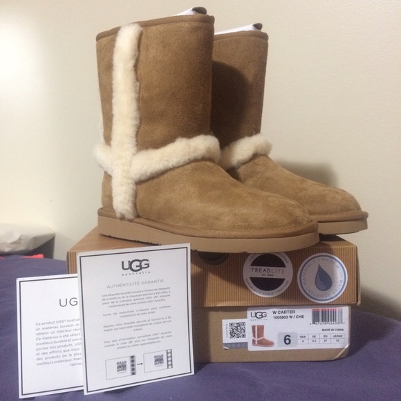 NIB UGG CARTER BOOTS