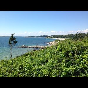 Meet your Posher, Anne