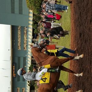 Meet your Posher, Lucy