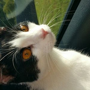 Meet your Posher, Loren