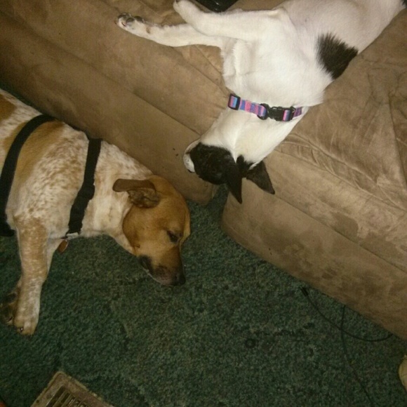 Meet your Posher, Kim - Picture 1 of 1