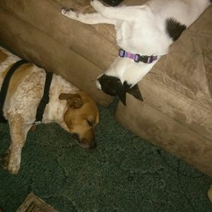 Meet your Posher, Kim