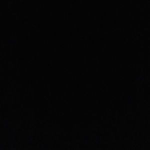 Meet your Posher, Maddie