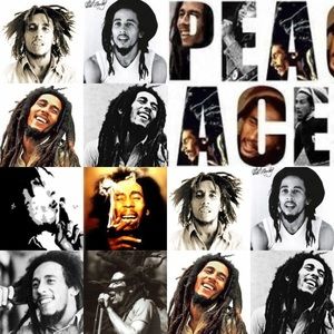 Meet your Posher, Wendi