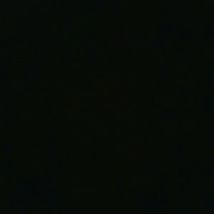 Special kidding for pricillahs