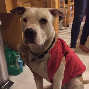 Meet your Posher, Tracy