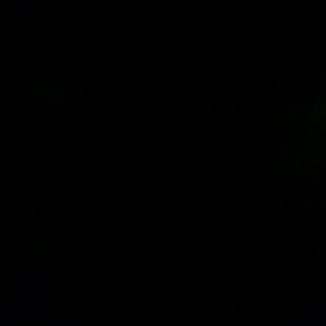 Meet your Posher, Micah