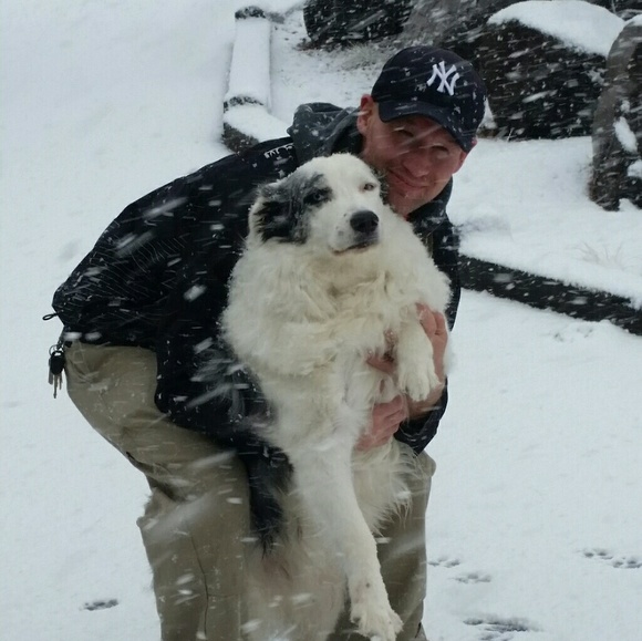 Meet your Posher, Dakota - Picture 3 of 4