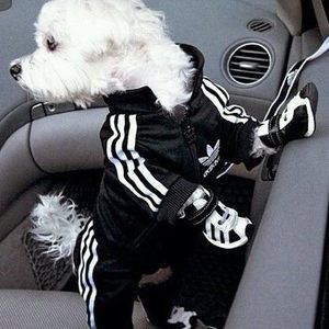 Meet your Posher, Lynn