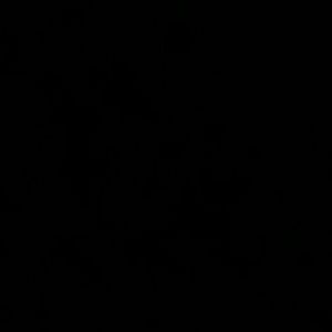 Meet your Posher, Stefanie