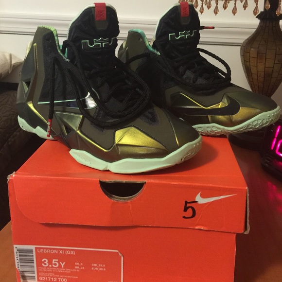 Lebron sneakers