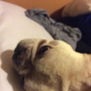 Meet your Posher, Carla