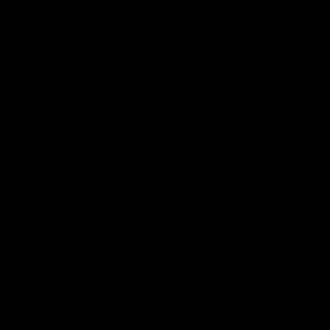 Meet your Posher, Lynn