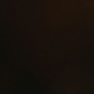 Special kidding for pricillahs