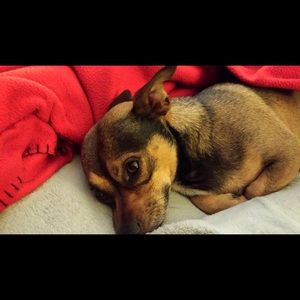 Meet your Posher, Elizabeth