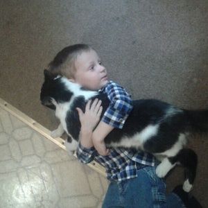 Meet your Posher, Donna