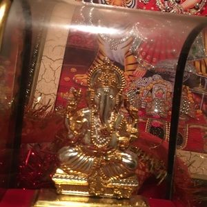 Meet your Posher, Meena