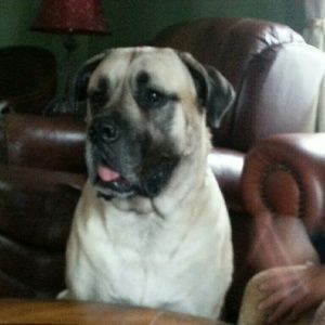 Meet your Posher, Susan