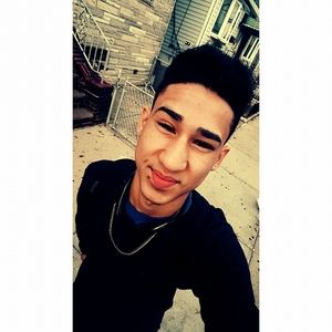 Meet your Posher, Albert