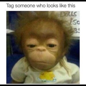 Meet your Posher, Nora