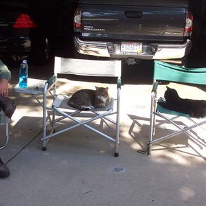 Meet your Posher, Jenell