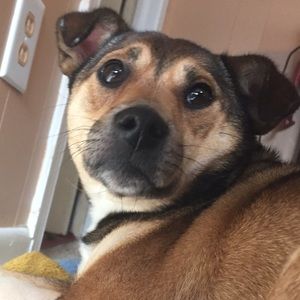 Meet your Posher, Danny