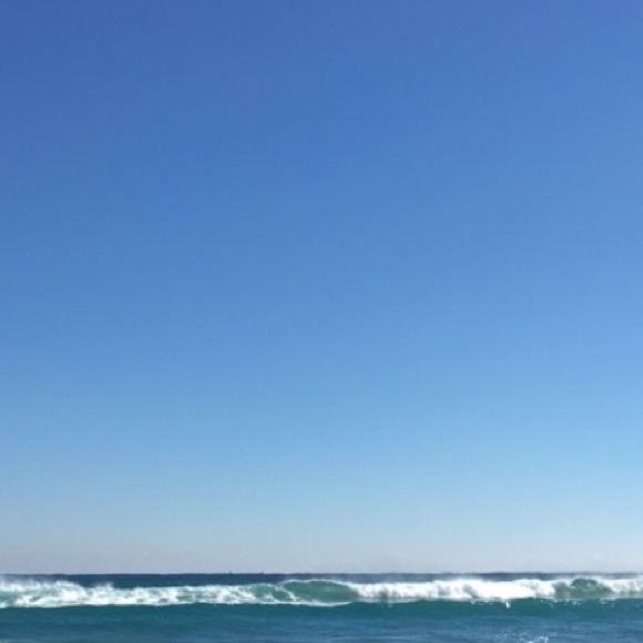 Meet your Posher, Lily