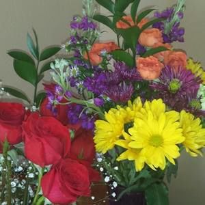 Meet your Posher, Dana