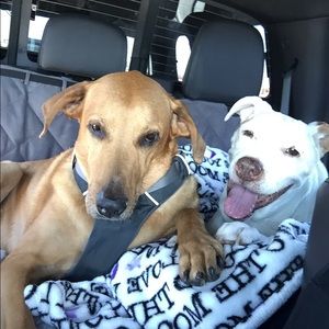 Meet your Posher, Rich