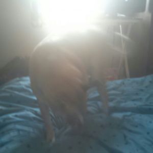 Meet your Posher, Jaeden