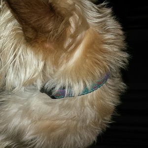 Meet your Posher, Mary ellen