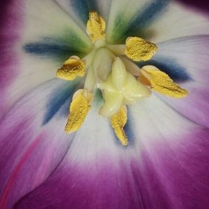 Meet your Posher, Crystal