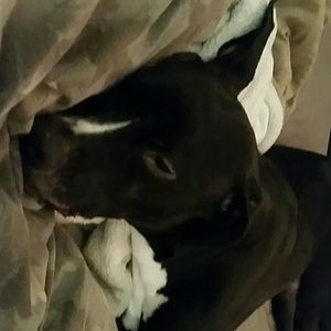 See something you like?