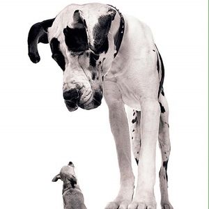 Meet your Posher, Jocelyne