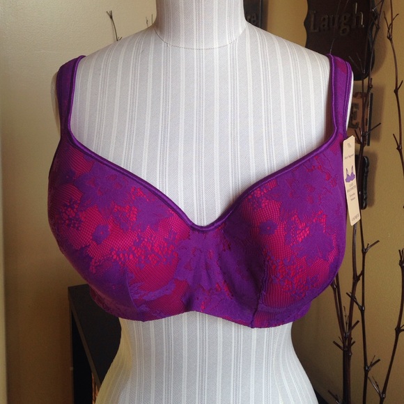 Fuchsia and purple Cacique lace balconette bra.