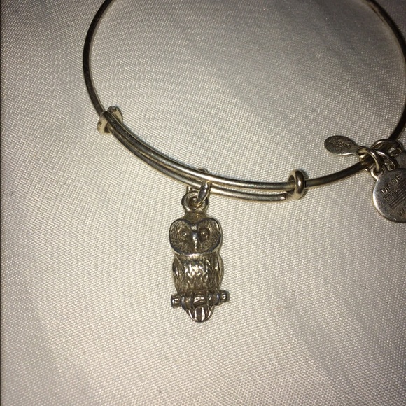 Alex & Ani bracelet