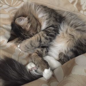 Meet your Posher, Sally