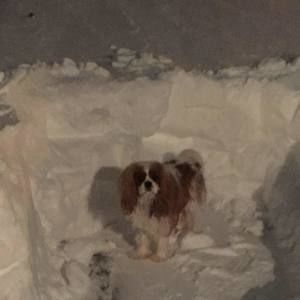 Meet your Posher, Barbara