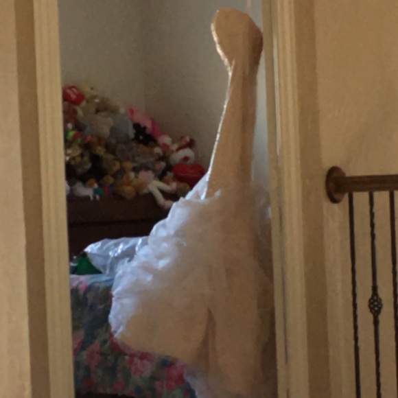 Elizabeth Anthony Gown -with cloud like tulling - Picture 4 of 4