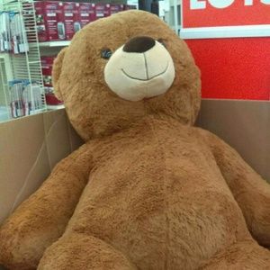 Meet your Posher, Alejandro