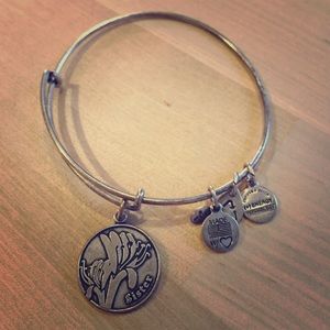 Alex and Ani charm bracelet