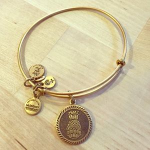 Alex and Ani charm bracelet