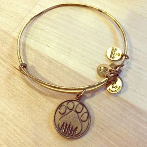Alex and Ani bracelet