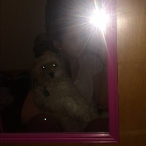 Meet your Posher, Hailey