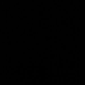 Meet your Posher, Gia