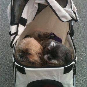 Meet your Posher, Bea