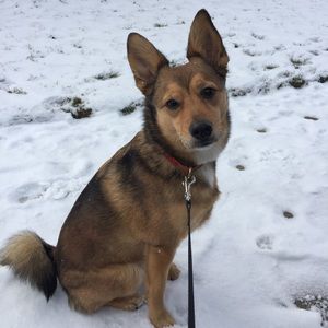 Meet your Posher, Stacy