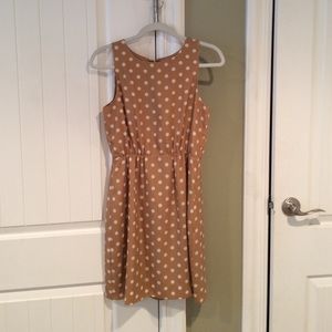 JCrew Sleeveless Dress