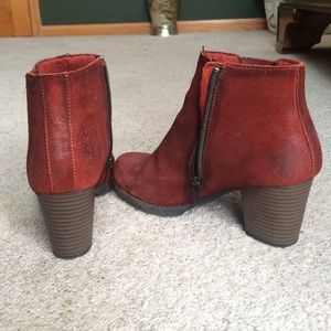 clarks pause camelia