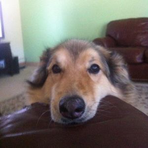 Meet your Posher, Anne